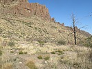 photo thumbnail #13