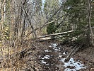 photo thumbnail #8
