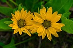 photo thumbnail #6