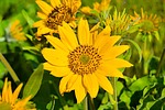 photo thumbnail #4