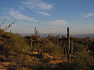 photo thumbnail #4