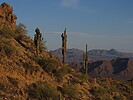 photo thumbnail #7