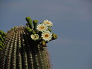 photo thumbnail #9