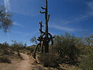 photo thumbnail #11