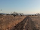 recent photo
