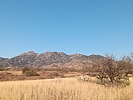 recent photo