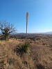 photo thumbnail #10