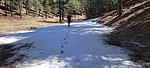 photo thumbnail #7