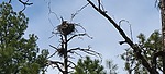 2025-04-12 :1: High - Drew - Woods - Sinkhole :: The_Eagle