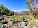 2025-04-09 :1: Cave Creek Trail #4 :: kingsnake