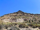 2025-04-09 :1: Cave Creek Trail #4 :: kingsnake