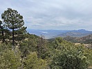 photo thumbnail #2