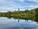 photo thumbnail #3