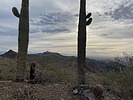 photo thumbnail #4