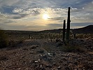 photo thumbnail #12
