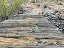 photo thumbnail #14