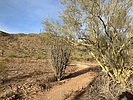 photo thumbnail #9