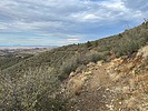 photo thumbnail #15