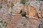 photo thumbnail #12