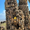 photo thumbnail #7