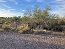 photo thumbnail #6