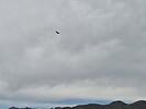 2025-04-14 :3: FR27 - Old Mount Ord Road :: DixieFlyer