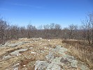 photo thumbnail #3