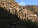 photo thumbnail #6