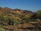 photo thumbnail #5