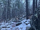 photo thumbnail #7