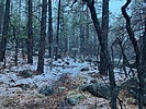 photo thumbnail #5