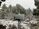 photo thumbnail #13