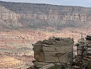 photo thumbnail #15