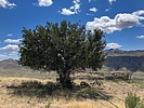 2025-04-19 :1: Tortilla Mountain - Superstition Wilderness :: John10s