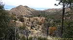 photo thumbnail #4