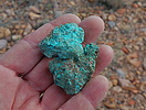 photo thumbnail #4
