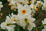 photo thumbnail #14