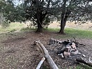 photo thumbnail #14