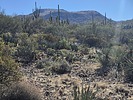 2025-04-20 :: Club Benchmark - Table Mountain :: DixieFlyer