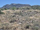 2025-04-20 :: Club Benchmark - Table Mountain :: DixieFlyer