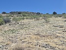 2025-04-20 :: Club Benchmark - Table Mountain :: DixieFlyer