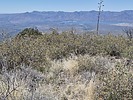 2025-04-20 :: Club Benchmark - Table Mountain :: DixieFlyer