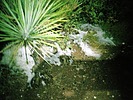 photo thumbnail #15