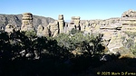 photo thumbnail #10