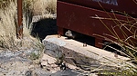 photo thumbnail #8