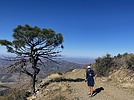 photo thumbnail #3