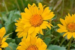 photo thumbnail #15