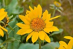 photo thumbnail #14