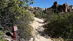 photo thumbnail #14