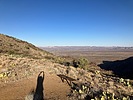 photo thumbnail #5